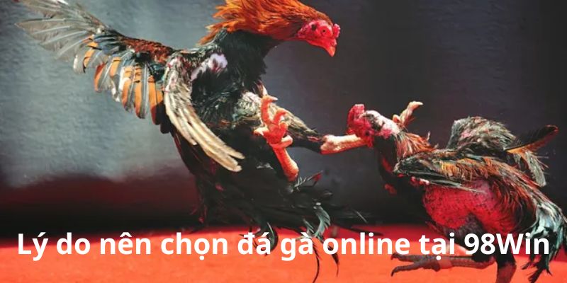 lợi ích cho người chơi